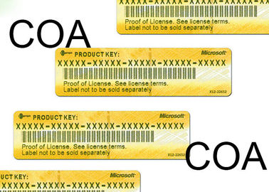 Global Area Microsoft Office 2010 Retail Box COA Sticker Genuine Key For Lifetime